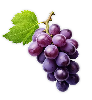 ぶどう