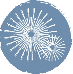 季節のイベント