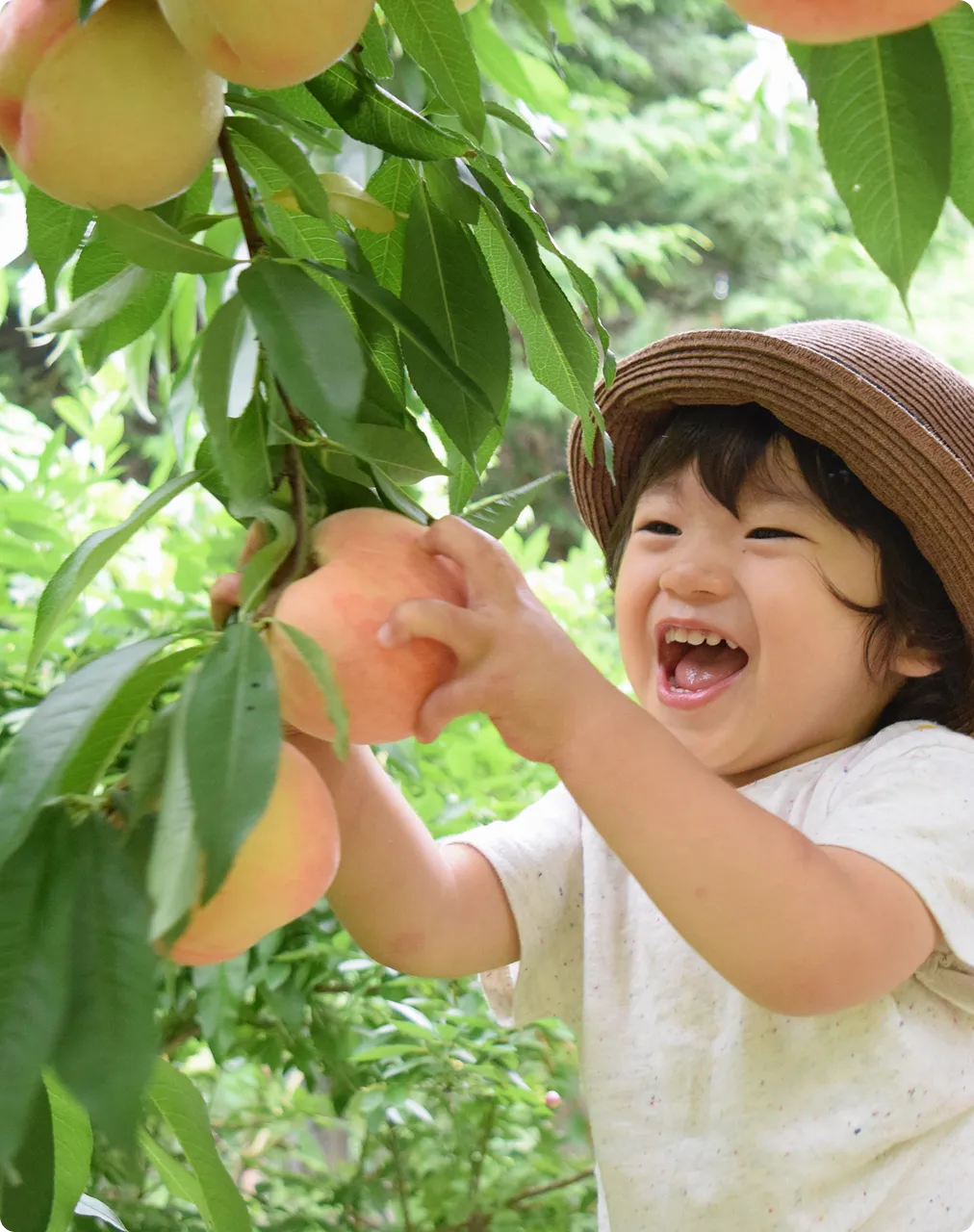 石和温泉イメージ