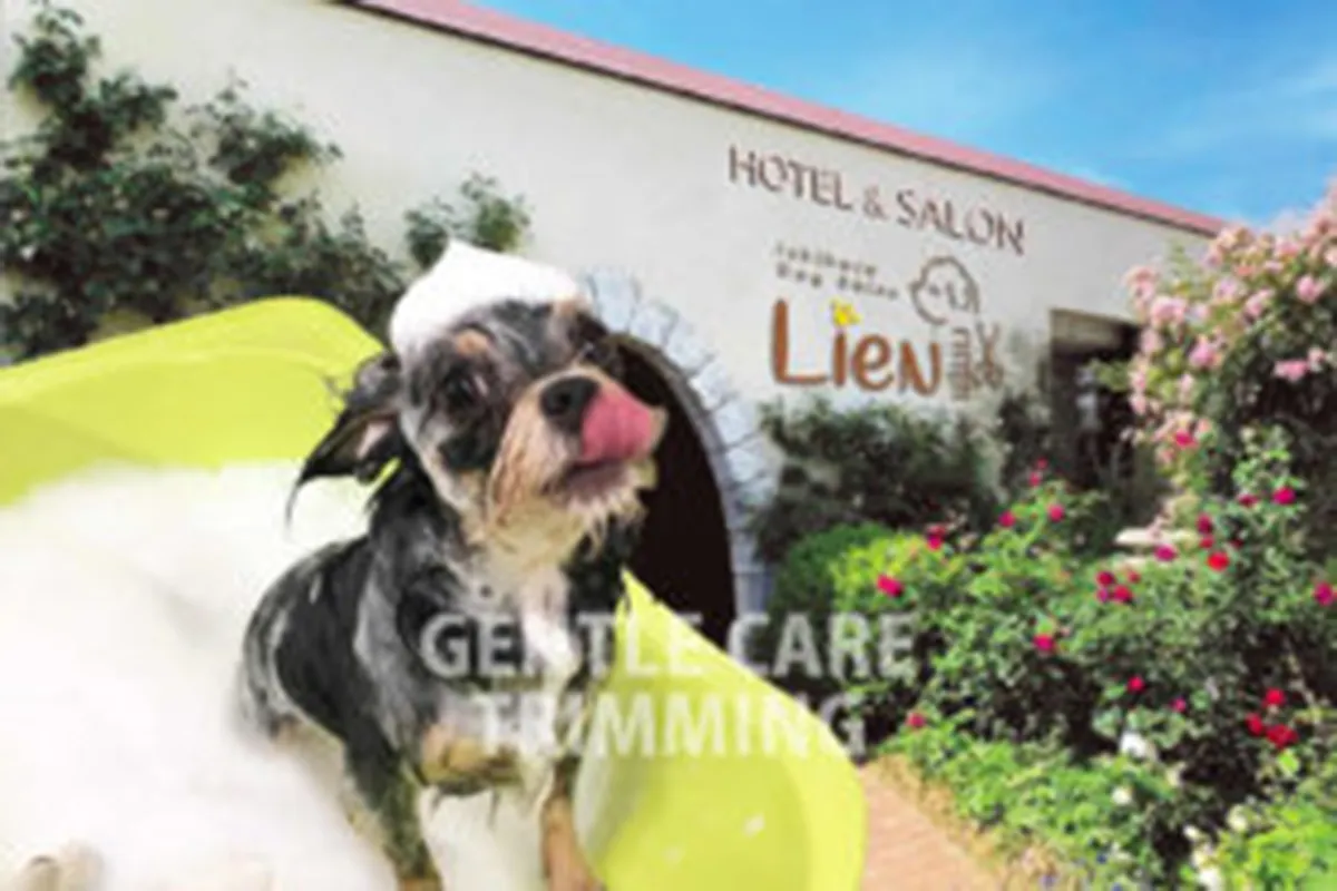 Ishihara Dog Salon Lien