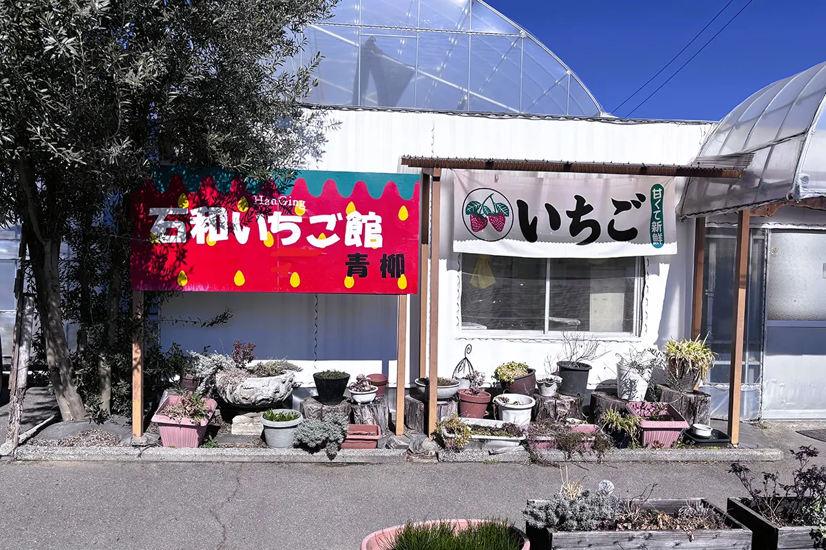 石和いちご館 青柳