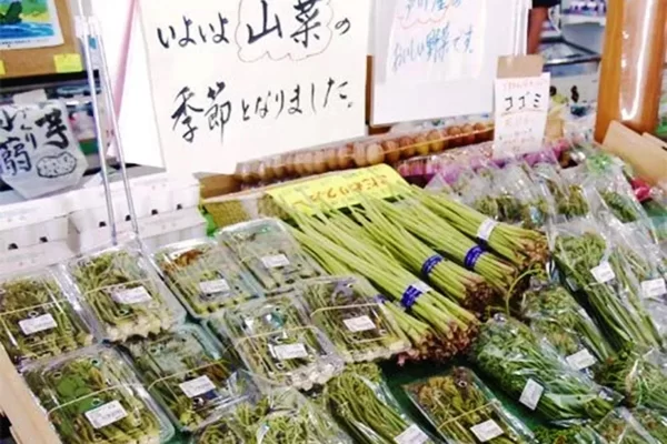 芦川農産物直売所「おごっそう家」