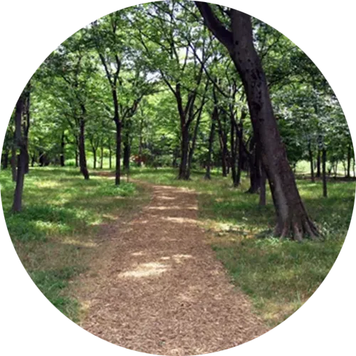 森林公園 金川の森