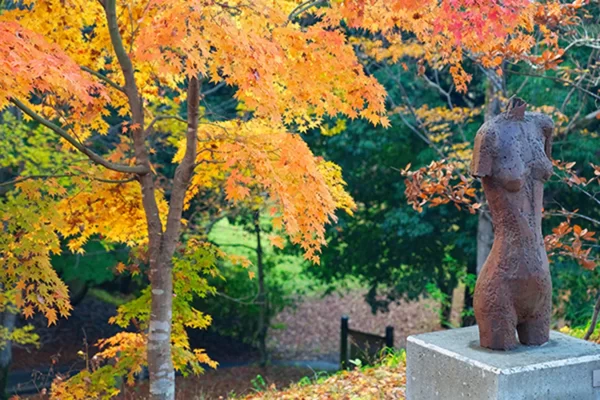 藤垈の滝 大窪いやしの杜公園 彫刻の森