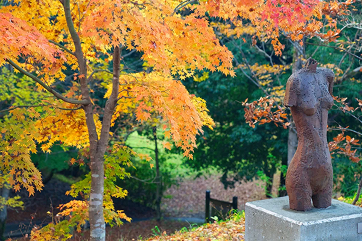 藤垈の滝 大窪いやしの杜公園 彫刻の森