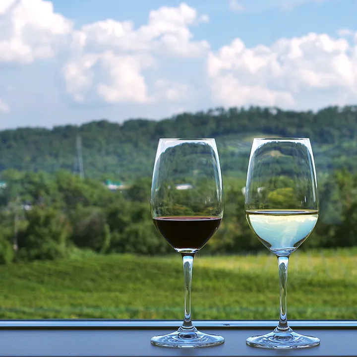 ワインイメージ