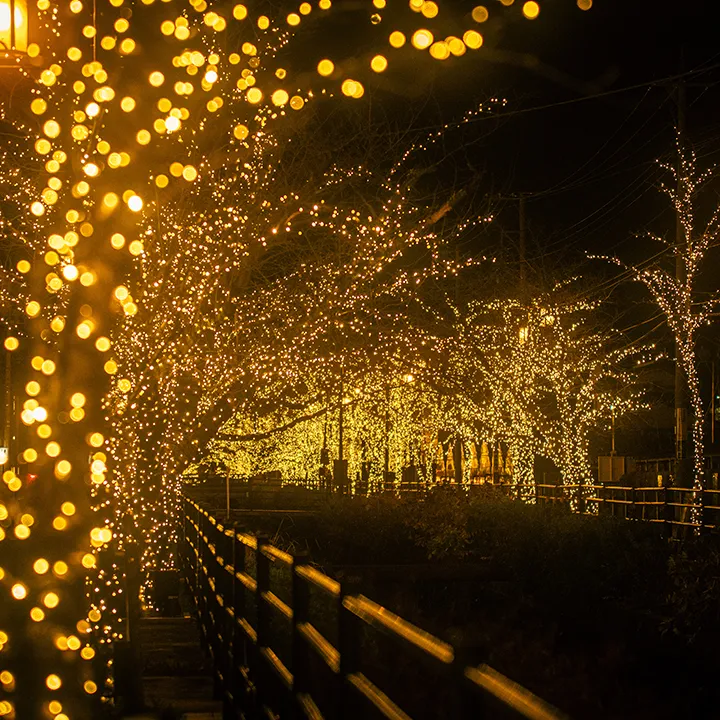さくら温泉通りイルミネーション