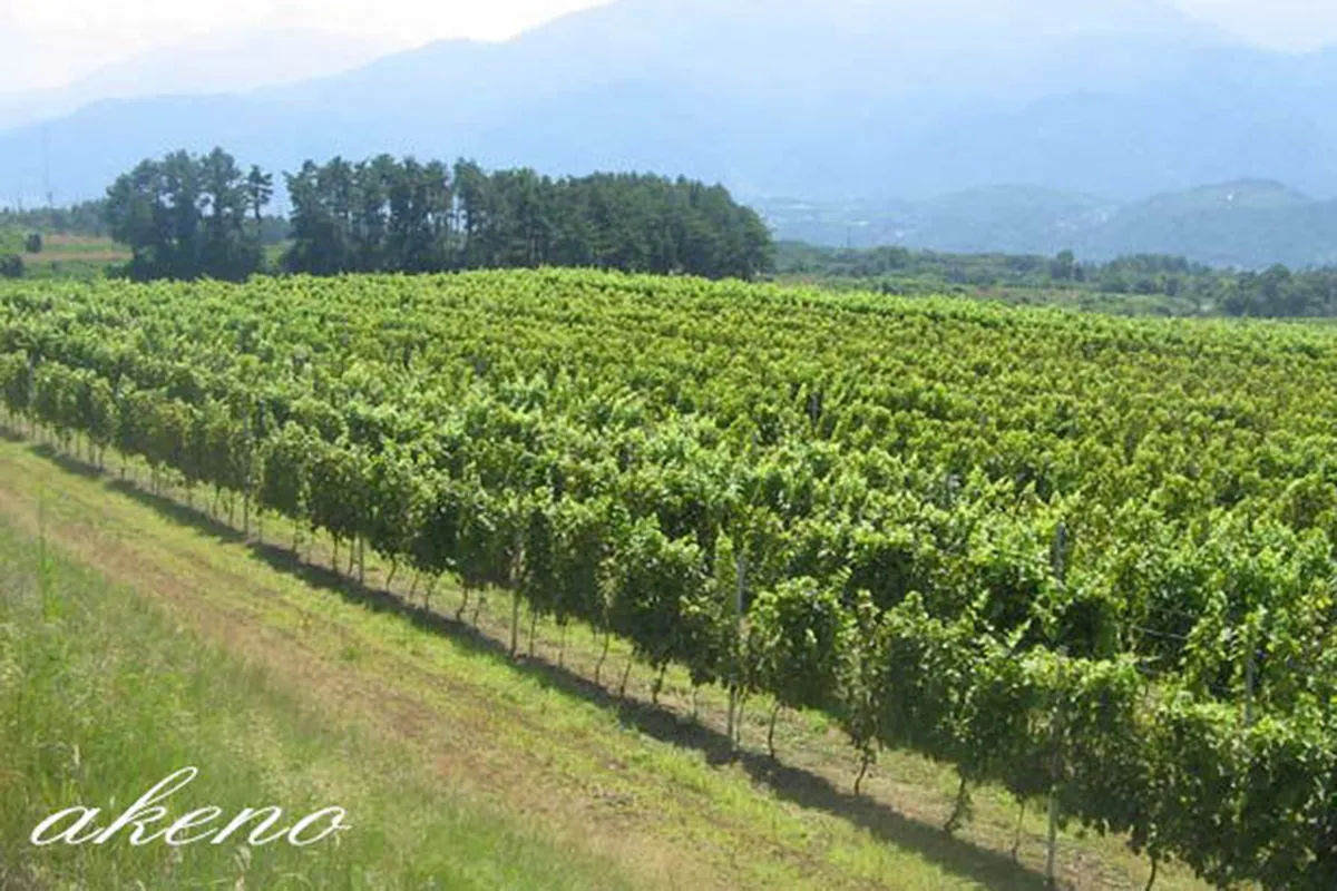 スズラン酒造工業